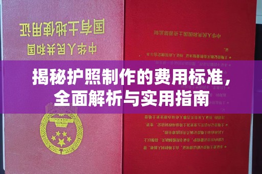 平阴揭秘护照制作的费用标准，全面解析与实用指南