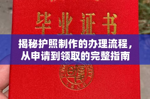 平阴揭秘护照制作的办理流程，从申请到领取的完整指南