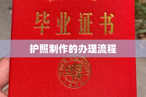 平阴护照制作的办理流程