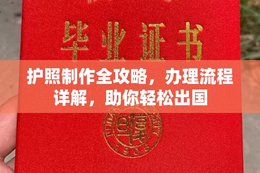 平阴护照制作全攻略，办理流程详解，助你轻松出国